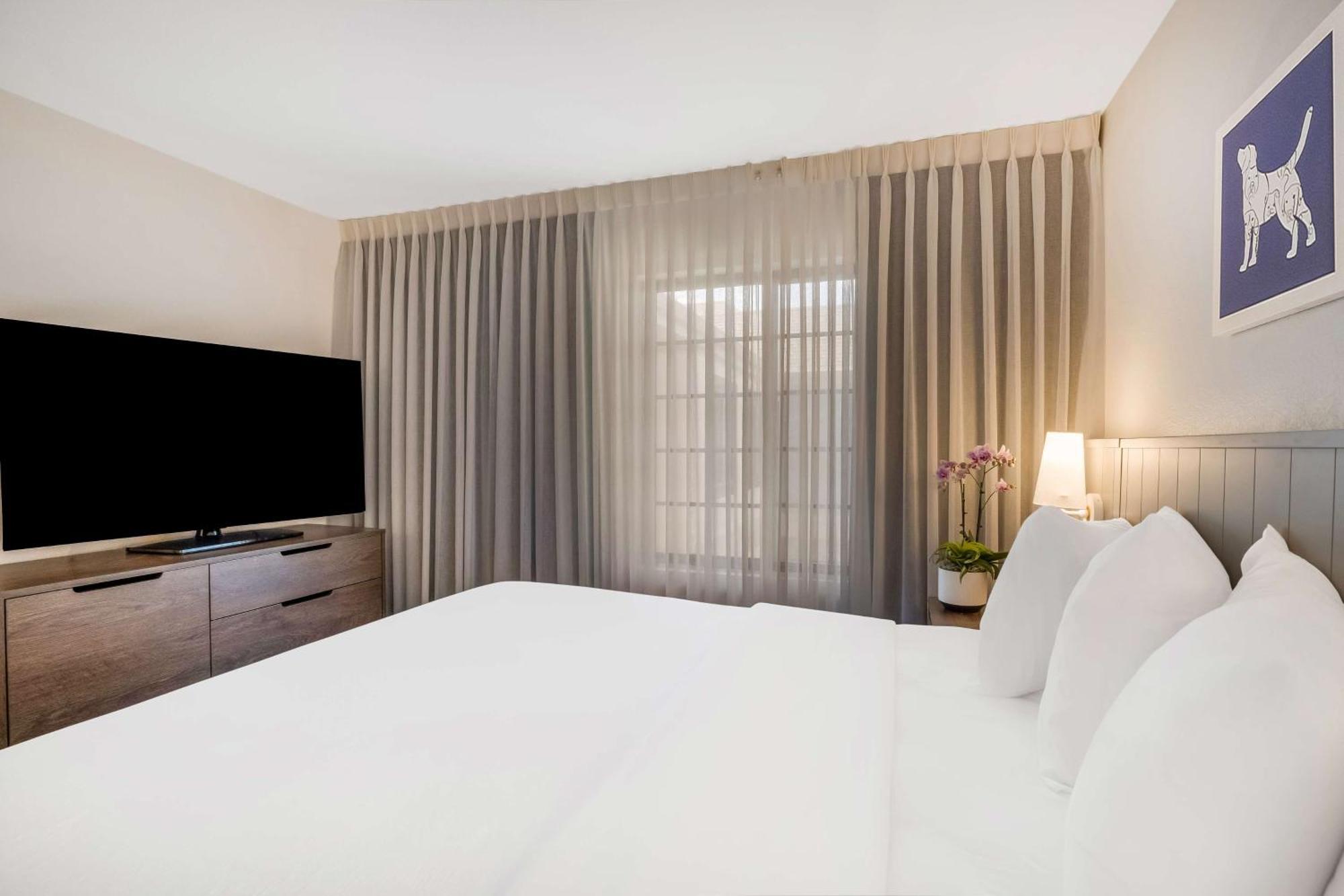 Sonesta Es Suites San Jose - Airport Екстериор снимка